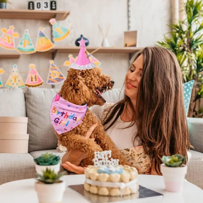 Set Completo Cappello da Compleanno per Cane Carino, Regolabile, con Paillettes, Cappellini Colorati per Animali Domestici con Numeri, Papillon, Bavaglino per Cane, per Festa di Compleanno dell'Animale Domestico