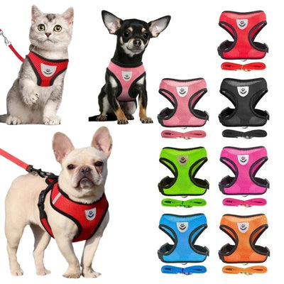 Pettorina per gatti Gilet con guinzaglio per cuccioli Collare in poliestere regolabile Pettorina in rete per cani di piccola e media taglia Accessori per animali domestici