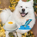 Funny Interactive Pet Lick Promotes Dental Health Self-Soothing Snack Bowl Training Yogurt Licking Plate for Dogs Cats