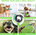 Spring Pole Dog Rope Toys, Dog Interactive Tether Tug of War Toy, Indoor/Outdoor Bungee Hanging Dogs Toy