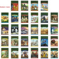 Random 1 book English Version Magic Tree House 1-38 Volumes English Reading Story Book Children's Adventure Science Book