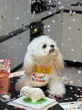 Cat Dog Birthday Bib and Party Hat Mini Doggy Cat Adjustable Bandana Scarf Pet Birthday Outfit Puppy Supplies