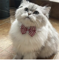Cute Cat Collar Wool Crocheted Cats Bowtie Collar Bow Tie Pet Bib for Cats Kitten and Small Dogs Puppies Tie Accessories