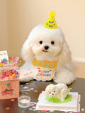 Cat Dog Birthday Bib and Party Hat Mini Doggy Cat Adjustable Bandana Scarf Pet Birthday Outfit Puppy Supplies