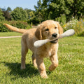 Large Size Cat Grinding Biting Stick Bite Resistant Durable Giant Cotton Swabs Cat Toys Cotton Swab Shaped Kitten Chew Sticks
