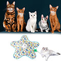 Smart Hide and Seek Cat Toy Electric Thermal Sensing Cat Catch Cover Real Mouse Squeaky Touch Activated Feather Teaser Wand