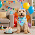 Cute Dog Birthday Hat Set Adjustable Sequins Pet Birthday Caps Colorful with Numbers Bowtie Dog Birthday Bib Pet Birthday Party