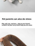 Magic Organ Cat Scratcher Round Corrugated Scratch Board Grinding Claw Toy Scratching Post for Cats Kitten Accessories With Ball