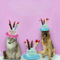 Cute Dog Birthday Toy Adorable Dog Cat Birthday Cake Hat Headwear Cap Puppy Kitten Hat Pet Gift Toys  аксесуари для собак