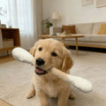 Large Size Cat Grinding Biting Stick Bite Resistant Durable Giant Cotton Swabs Cat Toys Cotton Swab Shaped Kitten Chew Sticks