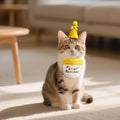 Pet Cat Dog Birthday Outfit - Birthday Hat and Bib Set,Cute Birthday Scarf Bib & Party Hat Adjustable Pet Birthday Supplies