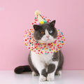 Colorful Dog Cat Birthday Hat Adjustable Cat Birthday Scarf Hat Set Cute Dog Bib Pet Birthday Party Dress Up Hat Dog Accessories