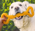 Pet Toys, Dog Toys, Durable Chew Sticks, Chew Bones, Golden Retriever, Border Collie, Labrador, Large Dog Boredom-Relief Toys