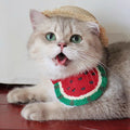 Pet Saliva Towel  Dog Cat Collar Bib Puppy Cartoon Watermelon Scarf Pet Dress Up Accessories