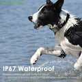 IP67 Waterproof Mini 4G GPS Animal Tracker Collar Anti-Lost Real Time Tracking Dog Cat Locator Pet Dog Cat Fashion Neck Collar