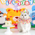 Colorful Dog Cat Birthday Hat Adjustable Cat Birthday Scarf Hat Set Cute Dog Bib Pet Birthday Party Dress Up Hat Dog Accessories
