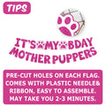 Dog Birthday Party Kit - Bandana, Hat, Bow Tie & Bday Banner for Small Dogs, Puppy Decor with It’s My Bday Signs Boy/Girl