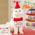 1pc Pet Bib Cats Dogs Burp Cloth Birthday Embroidery Cute Colorful Pets Supplies Bandana Party Clothing Dress Accessories TMZ