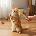 2 In 1 Retractable Cat Teaser Wand, Double-Sided Pet Massager Interactive Kitten Grooming Itch Relief Toy