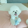 100% Cotton Pet Bib Lace Edge Bear Print Dog Bandana Saliva Towel for Small Dogs Cats Puppy Accessories