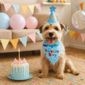 Cute Dog Birthday Hat Set Adjustable Sequins Pet Birthday Caps Colorful with Numbers Bowtie Dog Birthday Bib Pet Birthday Party