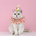 Colorful Dog Cat Birthday Hat Adjustable Cat Birthday Scarf Hat Set Cute Dog Bib Pet Birthday Party Dress Up Hat Dog Accessories