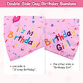 Cute Dog Birthday Hat Set Adjustable Sequins Pet Birthday Caps Colorful with Numbers Bowtie Dog Birthday Bib Pet Birthday Party