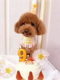 Pet Birthday Bib and Party Hat Cat Puppy Lace Saliva Towel Mini Doggy Bandana Scarf Dog Birthday Dress Up Supplies