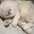 Large Size Cat Grinding Biting Stick Bite Resistant Durable Giant Cotton Swabs Cat Toys Cotton Swab Shaped Kitten Chew Sticks