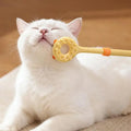 2 In 1 Retractable Cat Teaser Wand, Double-Sided Pet Massager Interactive Kitten Grooming Itch Relief Toy
