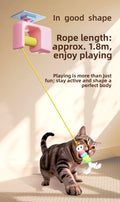 Cat toys, self-entertainment, boredom relief, energy burning, mouse teaser sticks, cat exercise, electric automatic teaser balls