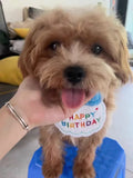 Pet Birthday Scarf Cute Delicate Lace Bib, Cat & Dog Birthday Party Celebration Prevent saliva Towel