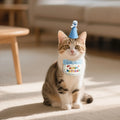 Pet Cat Dog Birthday Outfit - Birthday Hat and Bib Set,Cute Birthday Scarf Bib & Party Hat Adjustable Pet Birthday Supplies