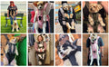 Pet Carrier Backpack for Dogs Cat Thickened Sponge Pet Front Dog Carrier Backpacks Portable Puppy Transportation Dog Bags