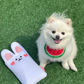 Pet Saliva Towel  Dog Cat Collar Bib Puppy Cartoon Watermelon Scarf Pet Dress Up Accessories