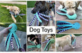 Pet Dog Plush Octopus Toy Interactive Sound Anti-demolition Home Teeth Grinding Large and Small Dog Relieve Boredom Dog Supplies