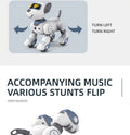 Intelligent Robot Dog Remote Control Electronic Sing Dance Follow Smart Interactive Stunt Music Toy Programmable Puppy Kid Gift