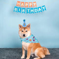 Cute Dog Birthday Hat Set Adjustable Sequins Pet Birthday Caps Colorful with Numbers Bowtie Dog Birthday Bib Pet Birthday Party