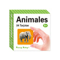 Different types of Spanish learning cards for children to improve their cognitive abilities  back to school
