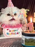 Cat Dog Birthday Bib and Party Hat Mini Doggy Cat Adjustable Bandana Scarf Pet Birthday Outfit Puppy Supplies