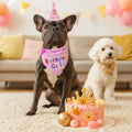 Cute Dog Birthday Hat Set Adjustable Sequins Pet Birthday Caps Colorful with Numbers Bowtie Dog Birthday Bib Pet Birthday Party