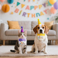 Pet Cat Dog Birthday Outfit - Birthday Hat and Bib Set,Cute Birthday Scarf Bib & Party Hat Adjustable Pet Birthday Supplies