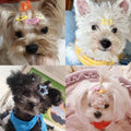 10pcs Candy Color Scheme Pet Hairpins Cat Dog Hair Clip Pin Accessories Hairgrip Headdress Cute Fashion Pet Accessories
