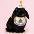 1 Pc Cute Pet Birthday Cake Bib Washable Cat & Dog Bib Birthday Party Decoration Photo Decoration