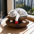 Magic Organ Cat Scratcher Round Corrugated Scratch Board Grinding Claw Toy Scratching Post for Cats Kitten Accessories With Ball