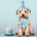 Cute Dog Birthday Hat Set Adjustable Sequins Pet Birthday Caps Colorful with Numbers Bowtie Dog Birthday Bib Pet Birthday Party