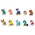 Genuine Paw Patrol 10th Anniversary All Paws On Deck Toy Figures Gift Pack with 10 Collectible Action Figures Kids Toys Ages 3+