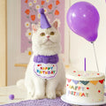 Pet Birthday Hat Scarf Set Adjustable Cat Dog Birthday Supplies Mini Pet Saliva Towel Suitable for Cat and Dog Party Decoration