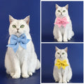 Pet Party Decoration Set Cat Dog Birthday Hats Dog Collar Cute Headband Adjustable Bow Tie Pet Birthday Decoration Supplies