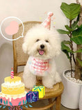 1 Set Pet Birthday Scarf Cute Delicate Lace Bib, Cat & Dog Birthday Party Celebration Prevent saliva Towel